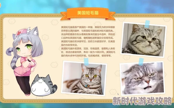 猫咪小姐2全成就指南：MissNeko2奖杯详细一览