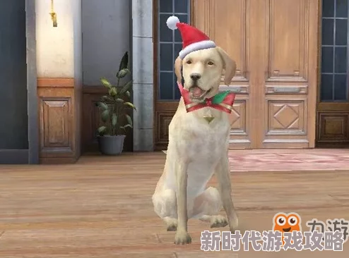 2025热门指南：明日之后狗狗圣诞帽获取攻略，NPC圣诞老人处限量抢购新款