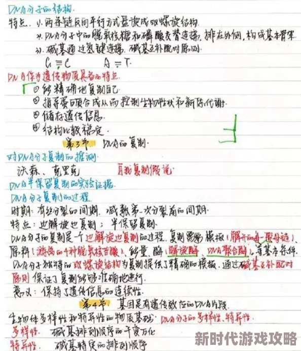 2025年塞尔之光残缺探宝笔记2高效寻找技巧，助你轻松获取稀有金色水晶